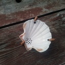 J'ai kraken sur un porte-savon