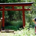 Torii traditionnel