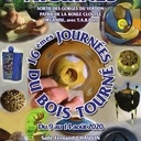 16e journées du bois tourné