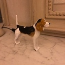 Copie de mon chien (un Beagles)