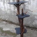 Arbre à chat.