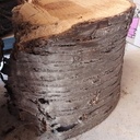 Cerisier ! Quelques petits projets à venir après séchage...