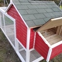 Le poulailler complet