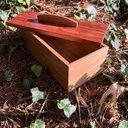 Plumier en Orme rouge