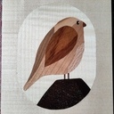 Petit oiseau dodu