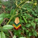 Les boucles d'oreille de Margaux