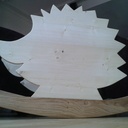 Le hérisson de Tiloulou