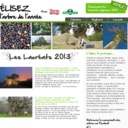L'arbre de l'année
