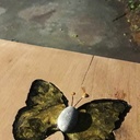 Lévitation   ...  (lit)  ...