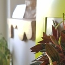 Deux Tablettes En Frêne Coulant