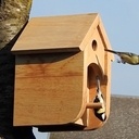 Nichoirs à balcon, anti-prédateurs - Modeles B6 ***