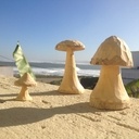 De p'tits champignons à la main