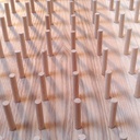 Forêt de Hêtres (porte bobines)