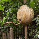 Cabane à oiseaux en palette