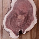 Table de chevet en Acacia rouge et pieds cintrés en Acajou