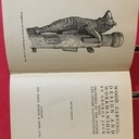 Apprendre la sculpture