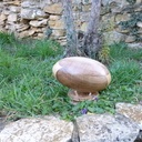 Premier tournage d'un ballon de rugby