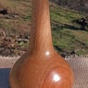 Soliflore en platane