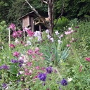 Distrinoix pour écureuils