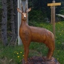 Le chemin des animaux