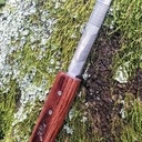 Tranchet pour Didier