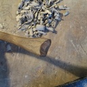 Cuillère en Platane