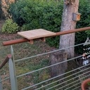 Mangeoire posée sur une rambarde ronde !