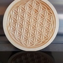 Fleur de vie version 2