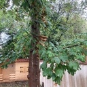 Plus qu’un nid, un nichoir!