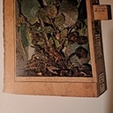 Incroyable xylothèque !