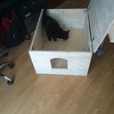 Maison pour chats errants