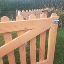 Portail et portillon douglas