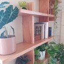 Étagère à plantes