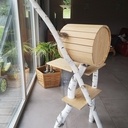 Arbre à chat, il y a du bouleau...