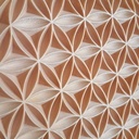 Fleur de vie version 2