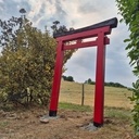 Torii