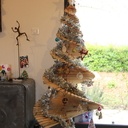 Sapin de Noël sans épines