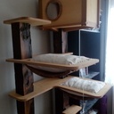 Arbre à chat charpenté !