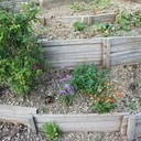 Redans de jardins
