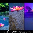 Pierre et deck auboutdelaravine.com