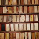 Création d'une xylothèque