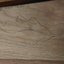 Une petite feuille de chêne en chêne .