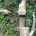 Tout vient à point à qui sait attendre