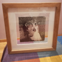 Cadre photo entre-deux-verres