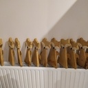 La famille renard sort du bois