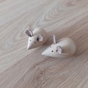 1er essai tournage de souris.