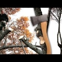 Taille de chêne à la hache, et sculpture évolutive sur arbres vivants.