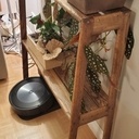 Étagère pour plantes