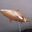 Requin en pin
