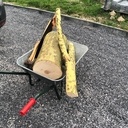 Tout vient à point à qui sait attendre